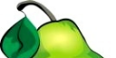 internetbusinessopportunities.png